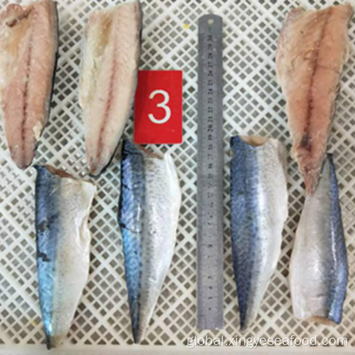 Scomber Japonicus Fillets Frozen IQF Mackerel Fillets Manufactory